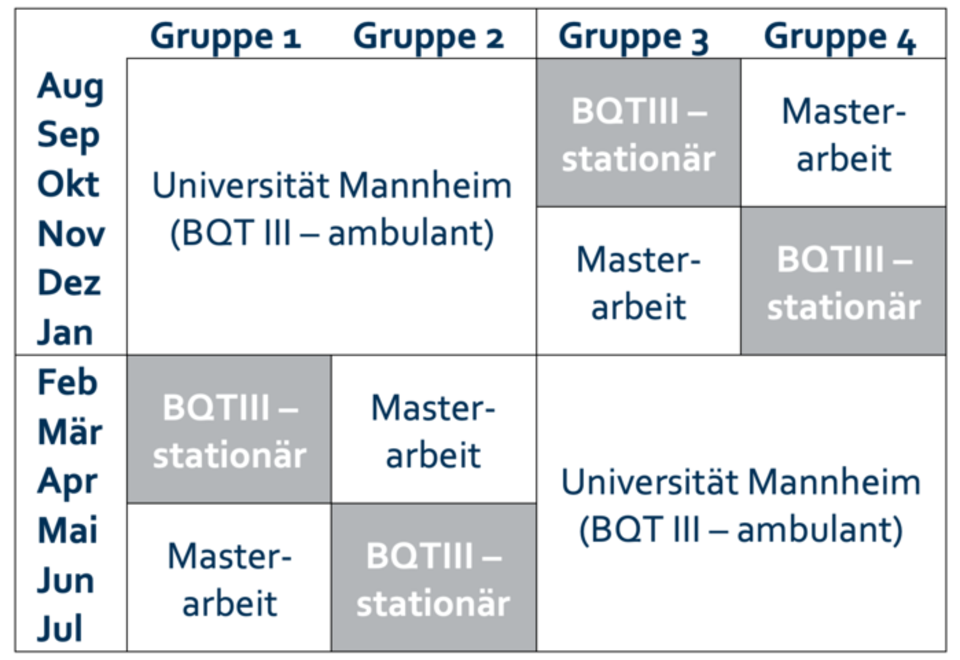 Grafik zum seriellen Modell der Uni Mannheim