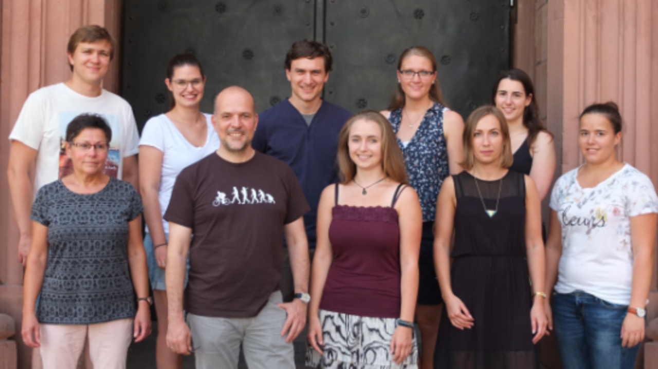 HWS 2016 Gruppenbild des Lehrstuhls vor dem Schloss, HWS 2016