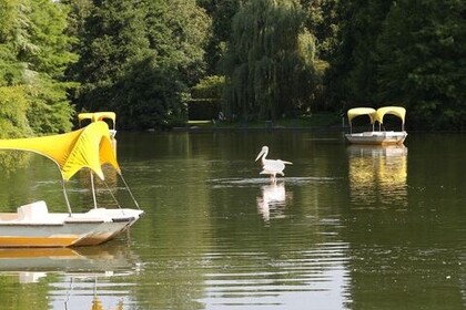 Blick auf den See des Luisenparks.