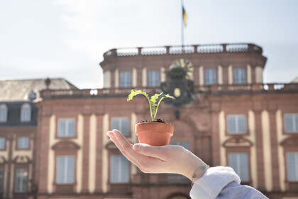 Hand mit kleinem Blumentopf vor dem Schloss