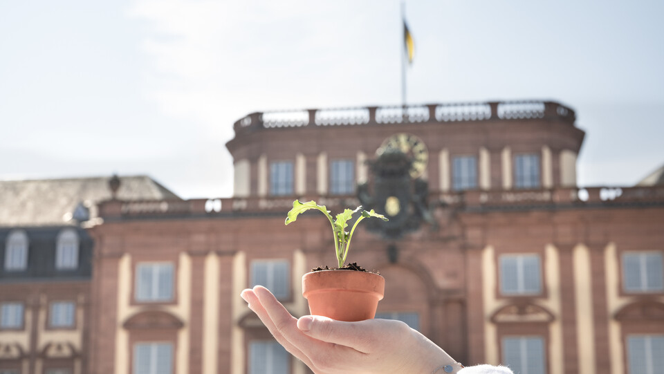 Hand mit kleinem Blumentopf vor dem Schloss