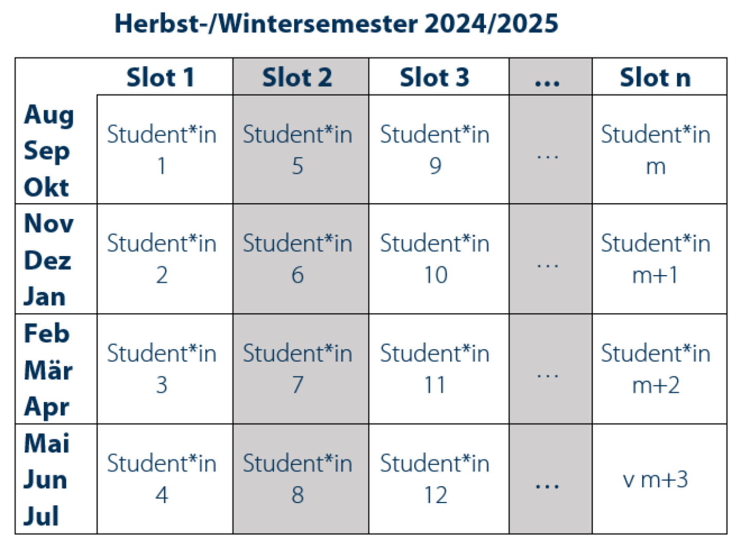 Screenshot einer Übersicht über die berufsqualifizierende Tätigkeit und das serielle Modell der Universität Mannheim für das Herbst-/ Wintersemesters 2024/2025.