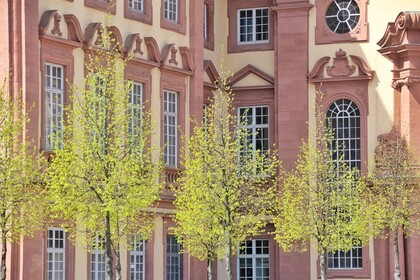 Bäume vor dem Schloss Mannheim