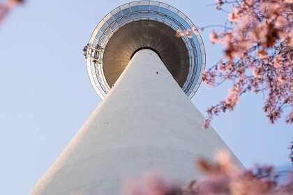 Der Fernmeldeturm aus der Froschperspektive vor einem blauen Himmel. An den Bildrändern ranken sich verschwommen rosa blühende Zweige. 