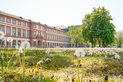 Westflügel der Uni Mannheim. Blumen blühen auf der Wiese und die Sonne scheint.