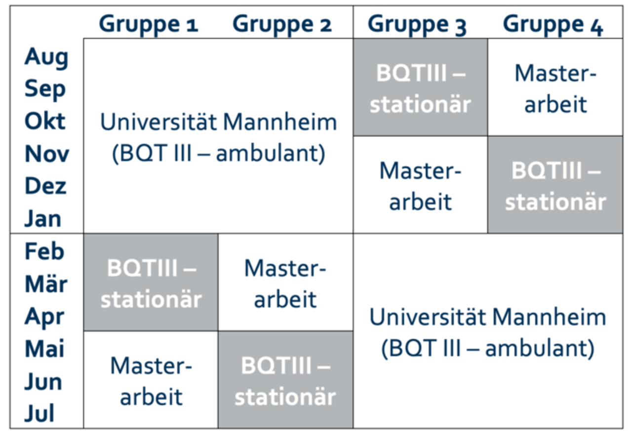 Struktur der BQT III Grafik zum seriellen Modell der Uni Mannheim