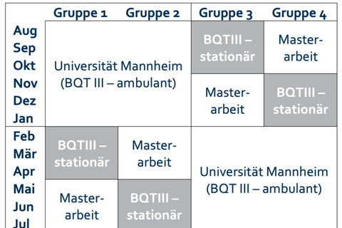 Grafik zum seriellen Modell der Uni Mannheim