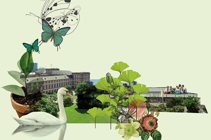 Collage aus Fotos und Zeichnungen vor hellgrünem Grund: Schlossgebäude, Mensawiese, Mensa mit Studierenden auf dem Dach, Ginkgoblätter, Blumen, ein gespiegelter Schwan, Schmetterlinge.