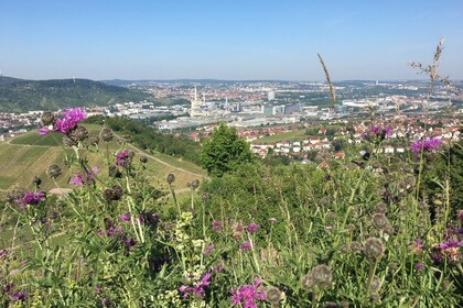 Aussicht auf Stadt von einem grünen Hügel mit Blumen im Vordergrund