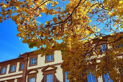 Herbstlicher Baum mit gelben Blättern. Im Hintergrund ein Teil des Barockschloss Mannheim. Link: Instagram-Post Herbst