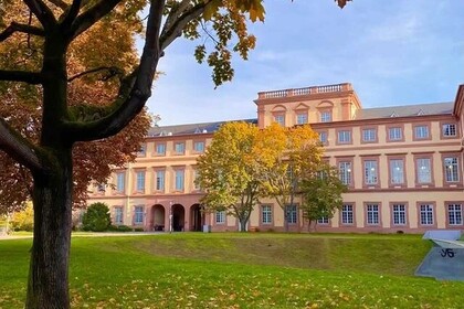 Wiese vor dem Barockschloss. Die Blätter der Bäume sind rötlich und gelb verfärbt. Auf dem Boden liegt herbstliches Laub. Link: Instagram Post Halloween