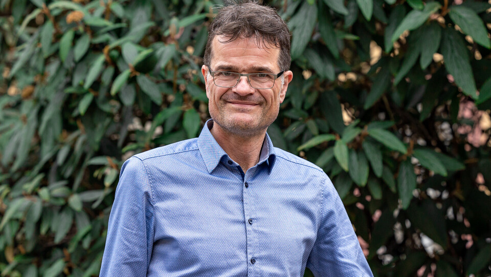 Bernward Gesang. Bernward Gesang trägt ein blaues Hemd und steht vor einem grünen Hintergrund.