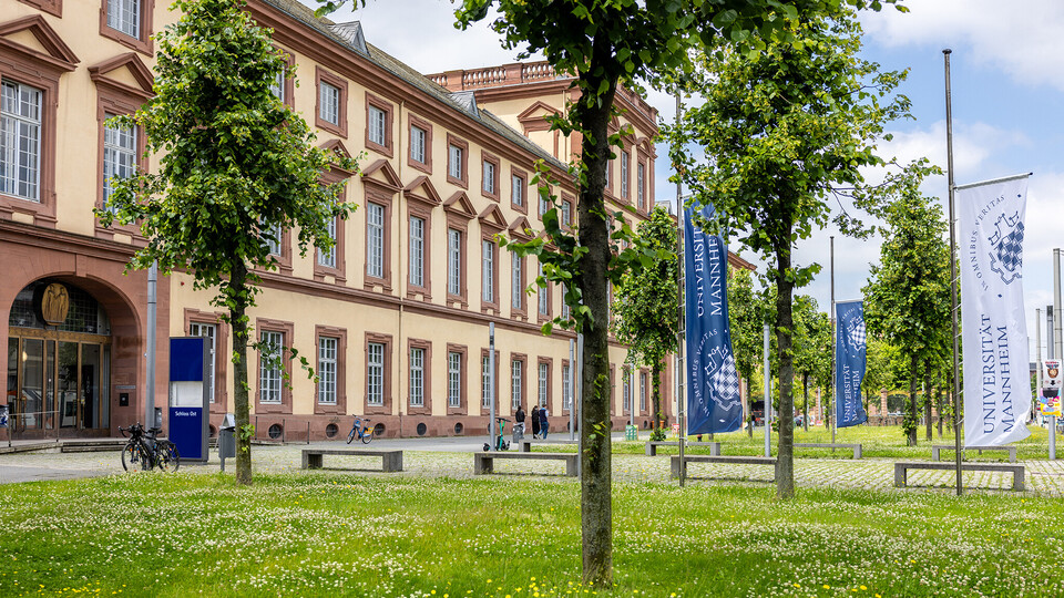 Außenaufnahme des Ostflügels des Mannheimer Schlosses. Im Vordergrund Bäume und eine grüne Wiese. Die Flaggen im Eingangsbereich, die das Siegel der Universität Mannheim tragen, sind auf Halbmast.
