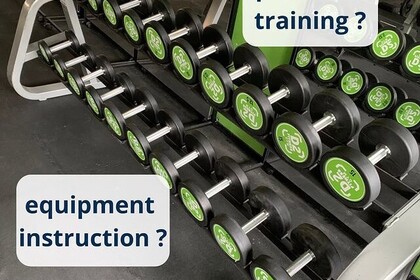 Unten links steht "Equipment-Einführung?" und oben rechts steht: "Personal Training?". Dazwischen sind Hanteln zu sehen. Unten rechts ist das Logo des IFS- Institut für Sport der Universität Mannheim.