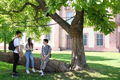 Drei Studierende sitzen auf einem Baumstamm vor der Universität Mannheim.
