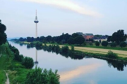 Blick auf den Neckar. In der Ferne sieht man den Mannheimer Wasserturm.