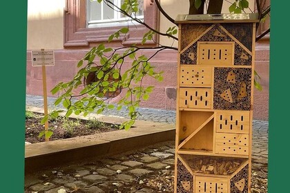 Blick auf das Insektenhotel im Rektoratshof. Oben links steht "Green Uni MA".