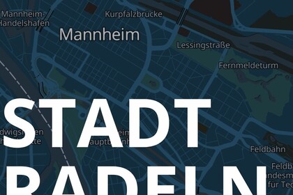 Straßenkarte von Mannheim