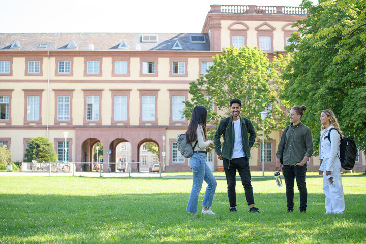 Vier Studenten unterhalten sich auf einer Wiese vor dem Mannheimer Schloss. 