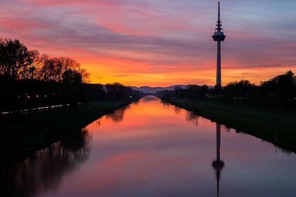 Sonnenuntergang über dem Neckar. An den Seiten Silhouetten der Uferböschungen und der Fernmeldeturm.